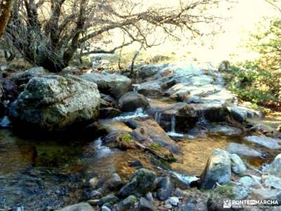 Cascadas Purgatorio;Bosque de Finlandia; 